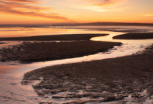 stunning sunrise over a tranquil beach, vibrant colors and soft golden light, serene and peaceful atmosphere, perfect for exposure lock feature demonstration