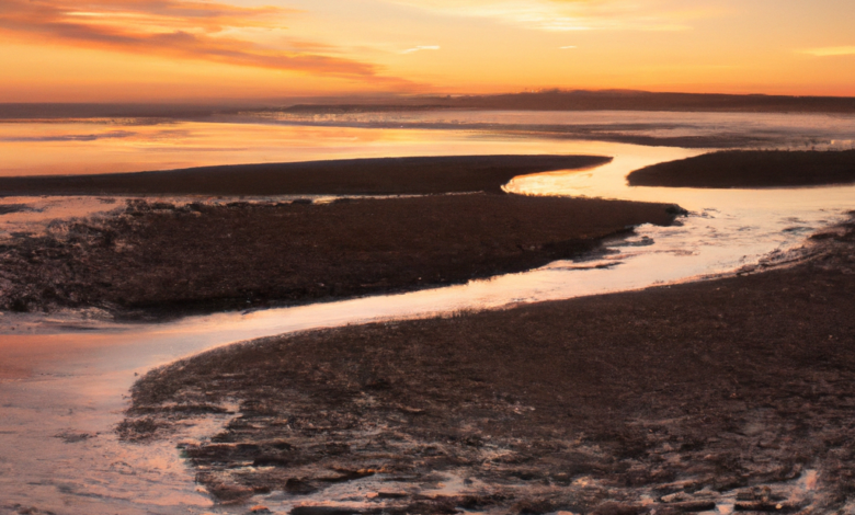 stunning sunrise over a tranquil beach, vibrant colors and soft golden light, serene and peaceful atmosphere, perfect for exposure lock feature demonstration