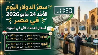 سعر الدولار اليوم الأحد 24 مايو 2026 في مصر.. أسعار العملات الآن في البنوك