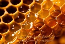بدّلت السكر بالعسل في كل حاجة لأسبوع وده اللي حصل لجسمي