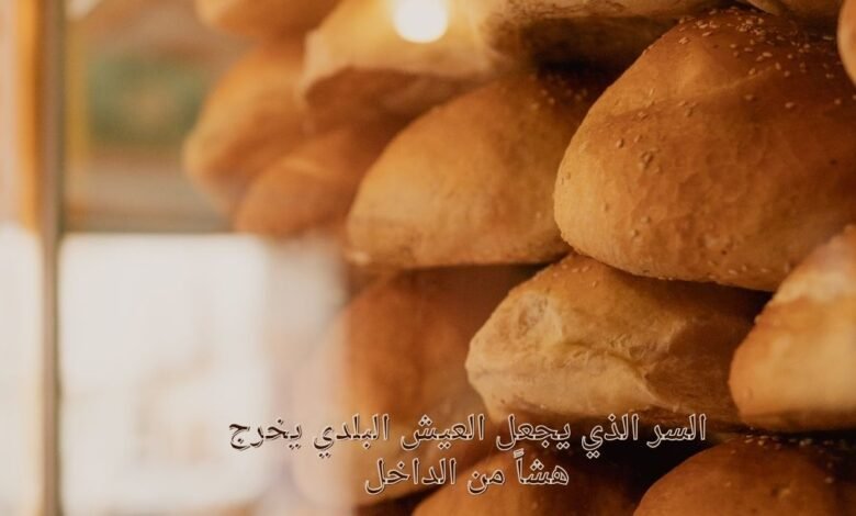 السر الذي يجعل العيش البلدي يخرج هشاً من الداخل