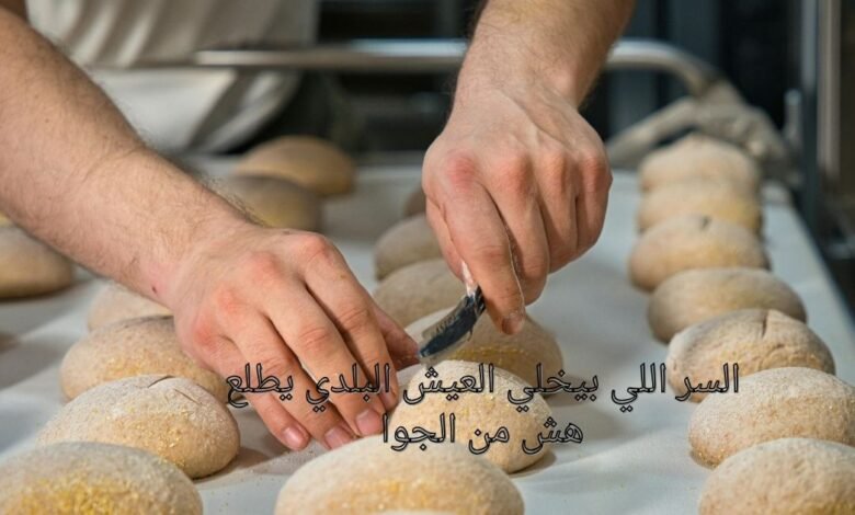 السر اللي بيخلي العيش البلدي يطلع هش من الجوا